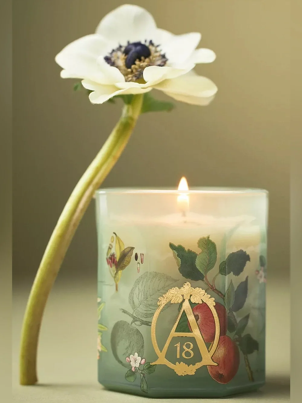 ANTHROPOLGIE NWT Apothecary 18 Spice Orchard Woods Boxed Glass Candle